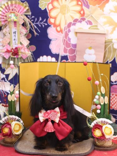 20240131小太郎くん